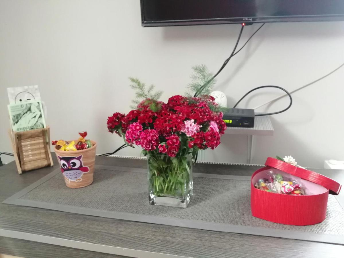 Apartman Red Wall Čačak Extérieur photo